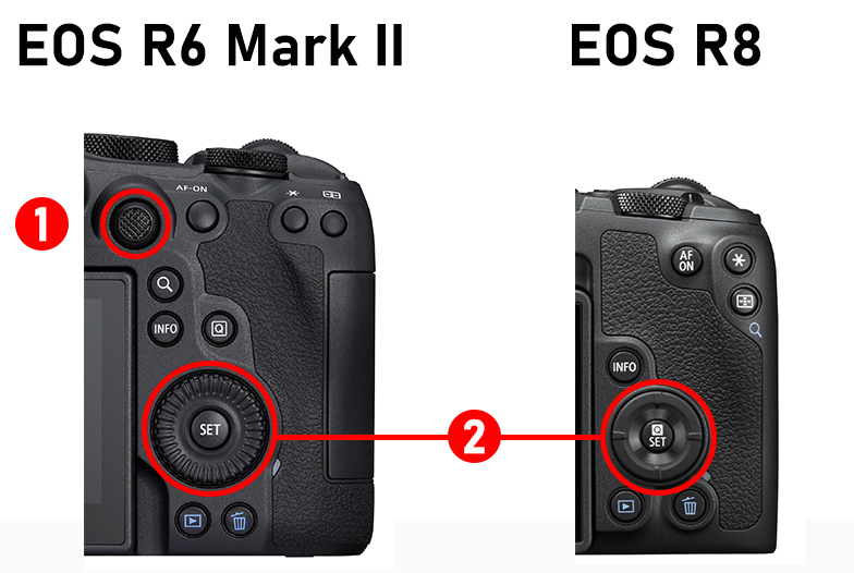 Hệ thống điều khiển Canon R6 Mark II