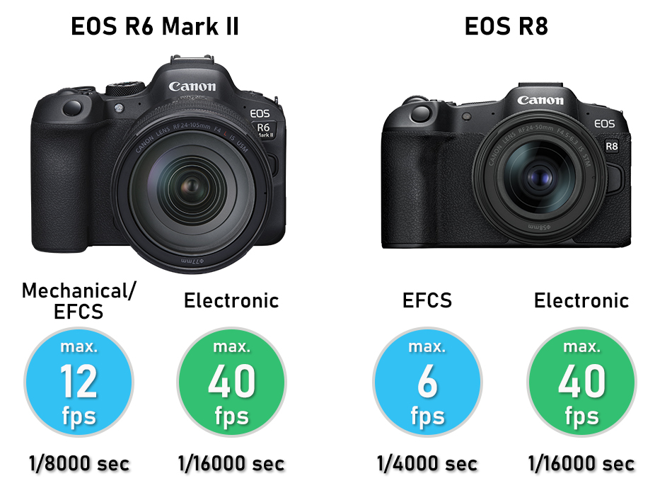 So sánh Canon R8 và Canon R6 Mark II